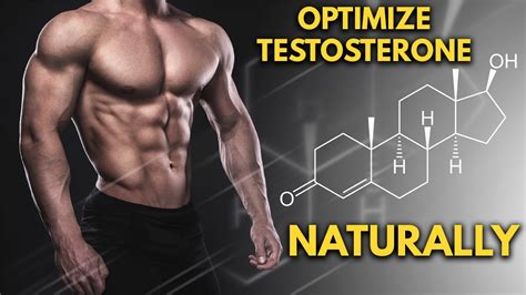How To Optimize Your Natural Testosterone Levels - YouTube