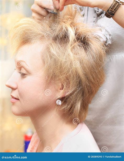 Professional hair styling. stock image. Image of brush - 28389295