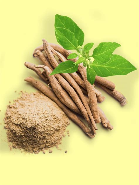 Ashwagandha y sus beneficios - Escuela de Ayurveda de CA