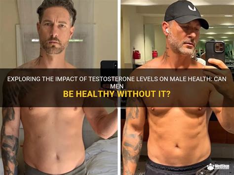 Exploring The Impact Of Testosterone Levels On Male Health: Can Men Be Healthy Without It? | MedShun