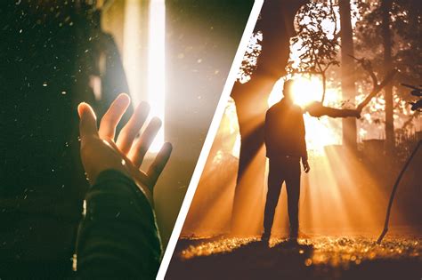 What Is Diffused Light: Complete Guide [With Examples &amp; Tips]