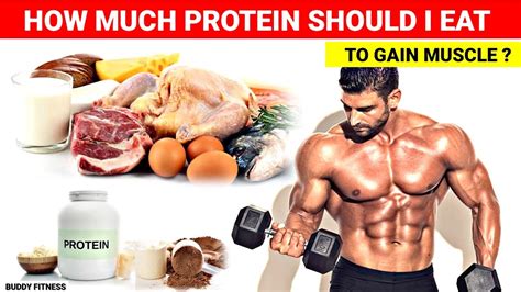 How much protein do I need daily for muscle gain?