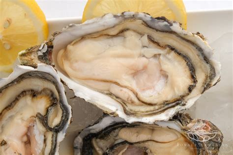 Our Oysters - Royale Namibian Seafood Company