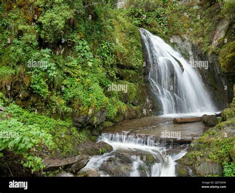 Altai small mountain river fall hi-res stock photography and images - Alamy