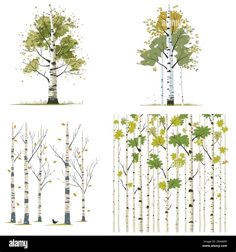 A collection forest Stock Vector Images - Alamy