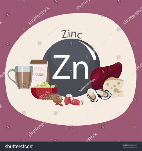 74 Foods rich in zinc Stock Illustrations, Images &amp; Vectors | Shutterstock