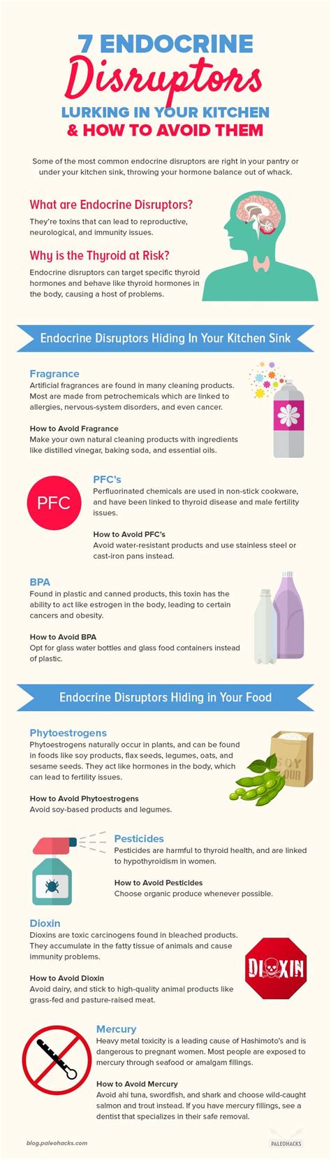 7 Endocrine Disruptors Lurking in Your Kitchen &amp; How to Avoid Them ...