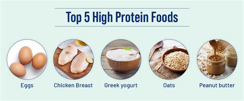 Top 5 High Protein Foods