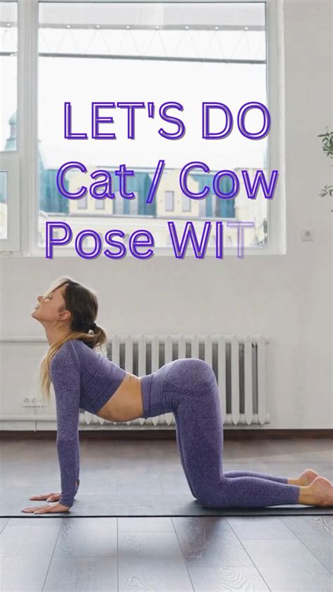 Cat / Cow Pose | Bitilasana Marjaryasana | Yoga Poses | Yoga Asanas | Yoga | | Cat cow yoga pose ...