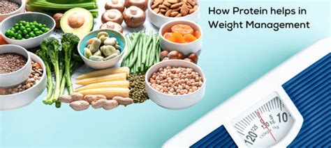 Protein and Satiety | Prolicious