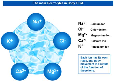 The Purpose of Electrolytes