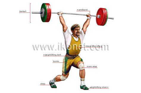 sports and games > strength sports > weightlifting > weightlifting ...