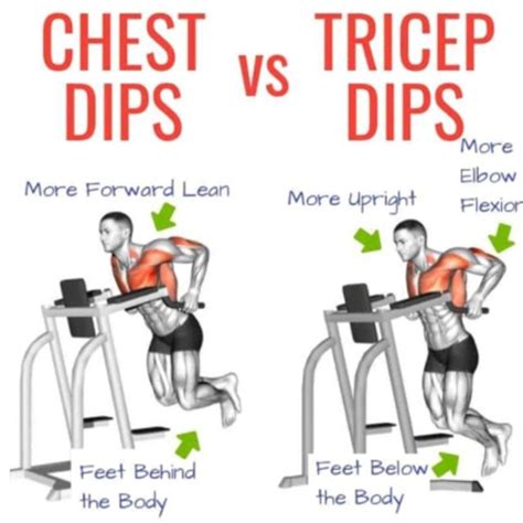 Chest Dips by Richard Terry Jr - Exercise How-to - Skimble