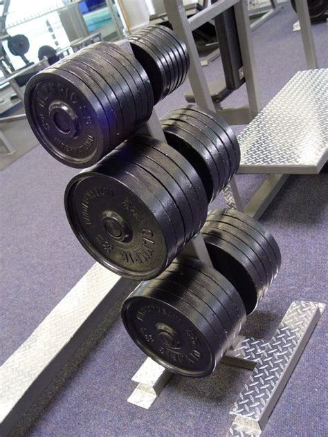 barbell plates in gym Free Photo Download | FreeImages