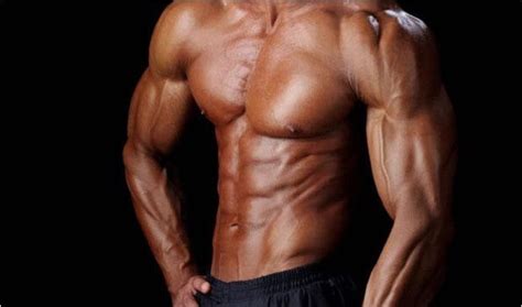 Muscle