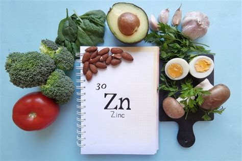 The Role of Zinc in the Human Body - Step To Health