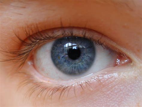 Therapy Blog: THE WORKS OF AN EYE