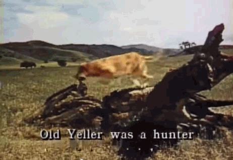 On Repeat: How to Use Loops to Explain Anything — ProPublica