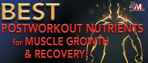 Best Post Workout Nutrients For Muscle Growth &amp; Recovery- AML