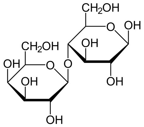 Lab 2e Structure and Properties of Carbohydrates - Toby Guenthner