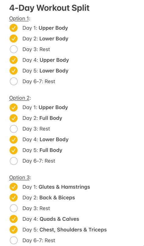 4 Day Split Workout Beginner