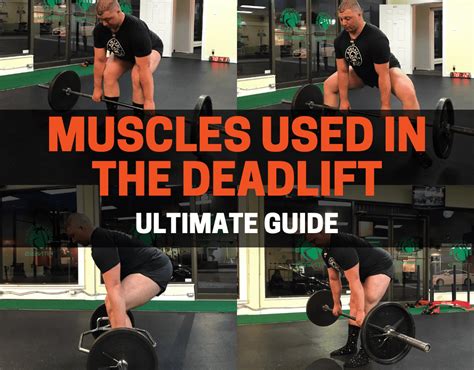 Deadlift: Muscles Worked (Ultimate Guide) | PowerliftingTechnique.com