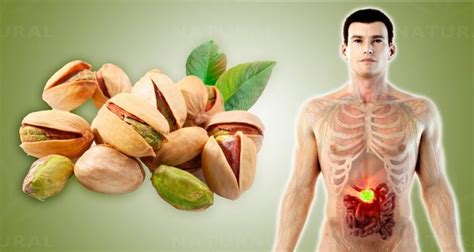 10 Magnesium-Rich Foods that You Should Eat Immediately - Page 3 of 3 - Gardening Tips and News
