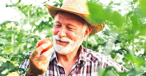 Prostate Health: Prevention With Lycopene - NutriONN Supplements