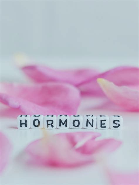 9 simple daily habits that improve overall hormone health | Times of India