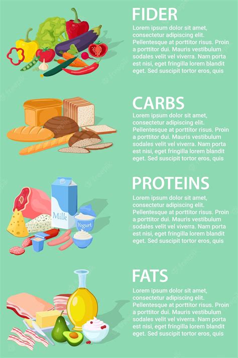Premium Vector | A set of useful macro nutrients Fiber proteins fats ...
