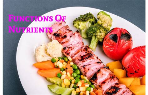 Nutrient - Definition, Types, Importance, and More