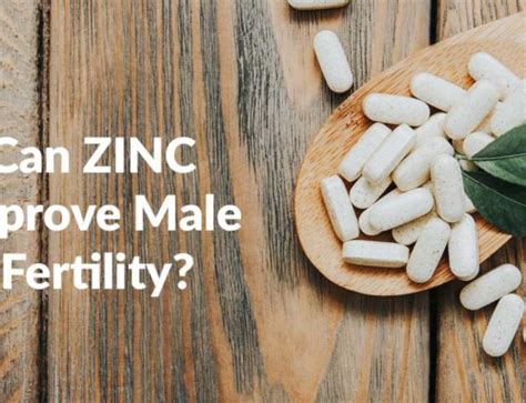 What is the specific role of dietary zinc in supporting male fertility and testosterone production?