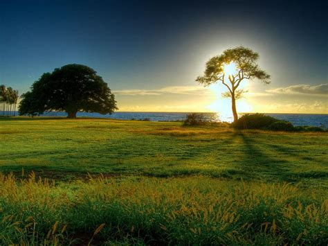 Beautiful Morning Wallpapers - Top Free Beautiful Morning Backgrounds ...