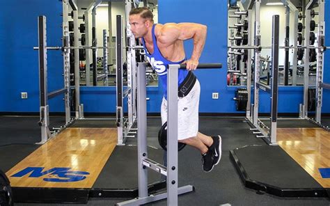 Weighted Tricep Dips: Video Exercise Guide &amp; Tips
