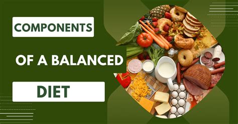 Components of a Balanced Diet