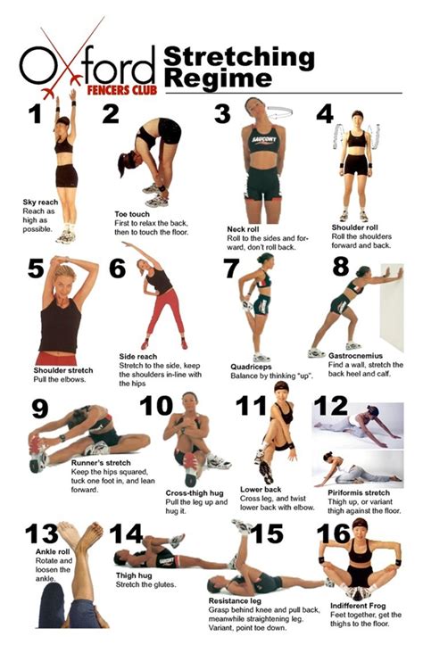 40 Charts of Post Workout Stretches to Prevent Injuries – Bored Art