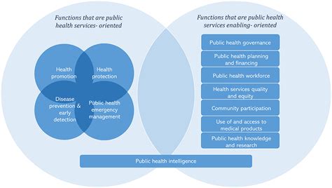 Frontiers | Towards applying the essential public health functions for ...