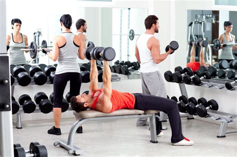 The Perfect Workout Routine for Beginners - The Medic Tips