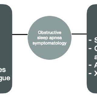 Obstructive sleep apnea symptoms. | Download Scientific Diagram
