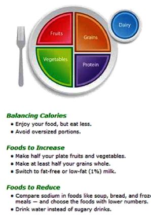 How does your food plate look?