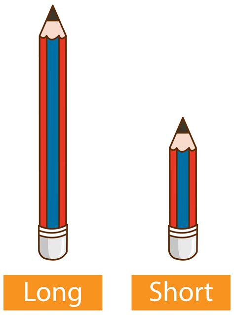 Opposite adjective words with long pencil and short pencil on white ...