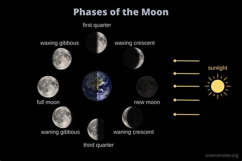 Phases of the Moon - Lunar Phases