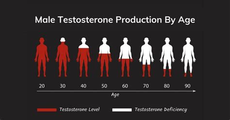 What Are Normal Testosterone Levels in Men by Age? - EVOLVE