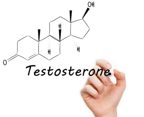 Testosterone | What is Testosterone and How to Increase Testosterone ...