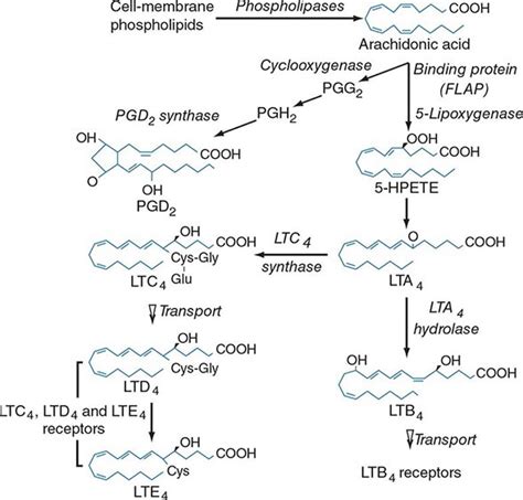 Systemic Lupus Erythematosus | Clinical Gate