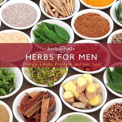 Herbal Medicine Blog — Herbs &amp; Owls
