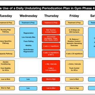 Demonstrating the use of a daily undulating periodization plan in gym ...
