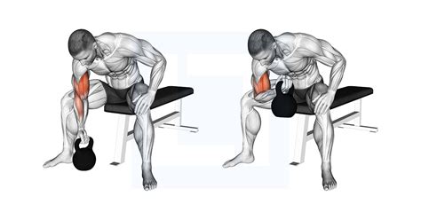 Dumbbell Seated Bicep Curl - Guide, Benefits, and Form