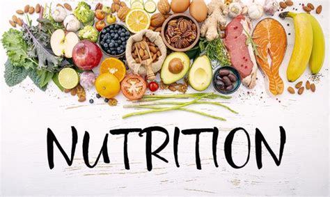 Why B.Sc. (Home Science - Clinical Nutrition & Dietetics)? - IIMT ...
