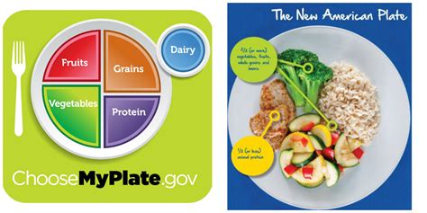 What a Healthy Plate Looks Like for Your Age - Melissa's Healthy Living